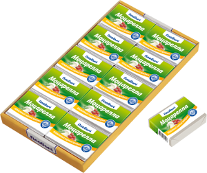 Плавленый продукт с сыром «Моцарелла» Плавленый продукт с сыром «Моцарелла»